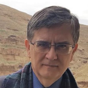 mircea dumitru